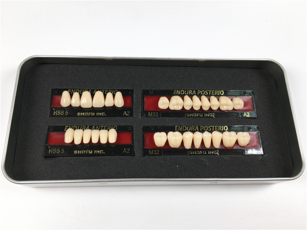 1 Box of SHOFU ENDURA Dental Denture False Teeth Resin A2 M28 M30 M32 Plastic