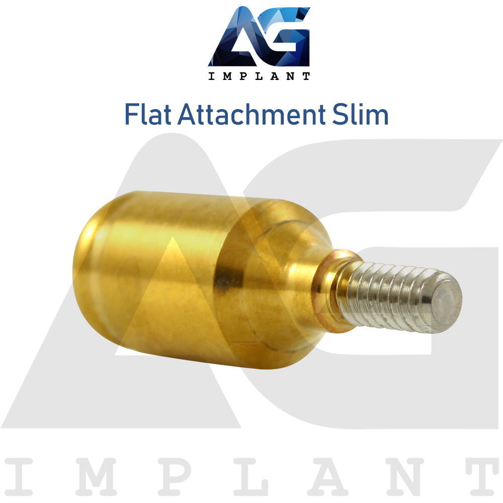 Slim Platform Straight Flat Attachment Standard Set Titanium Int Hexagon 2.0