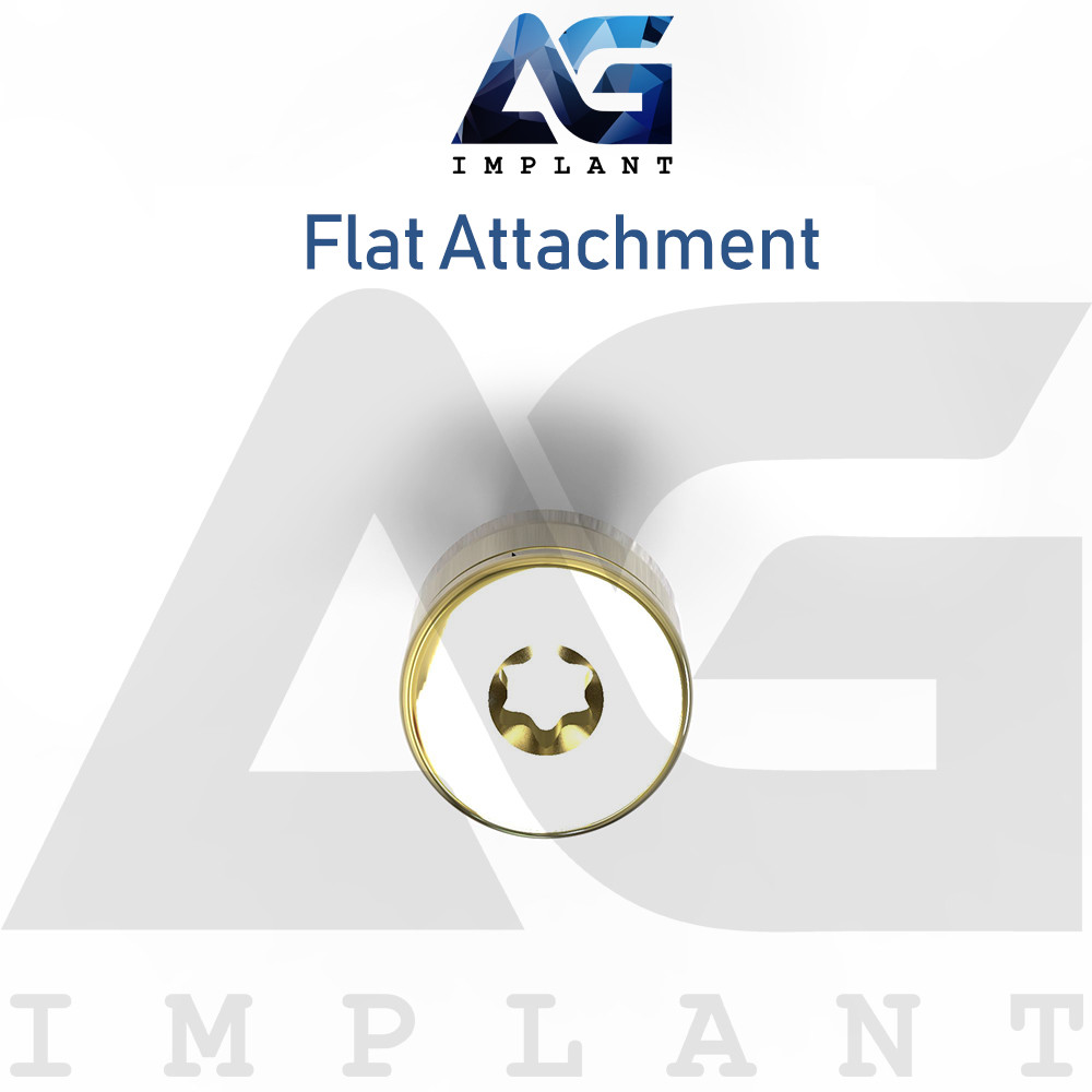 20 Flat Attachment Titanium Overdenture Dental Int Hex Connection 2.42mm