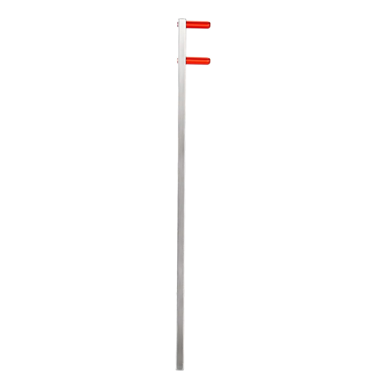 10Pcs Dental X-Ray Sensor Holder BAI Style Red Dental Bitewing Indicator Arms US
