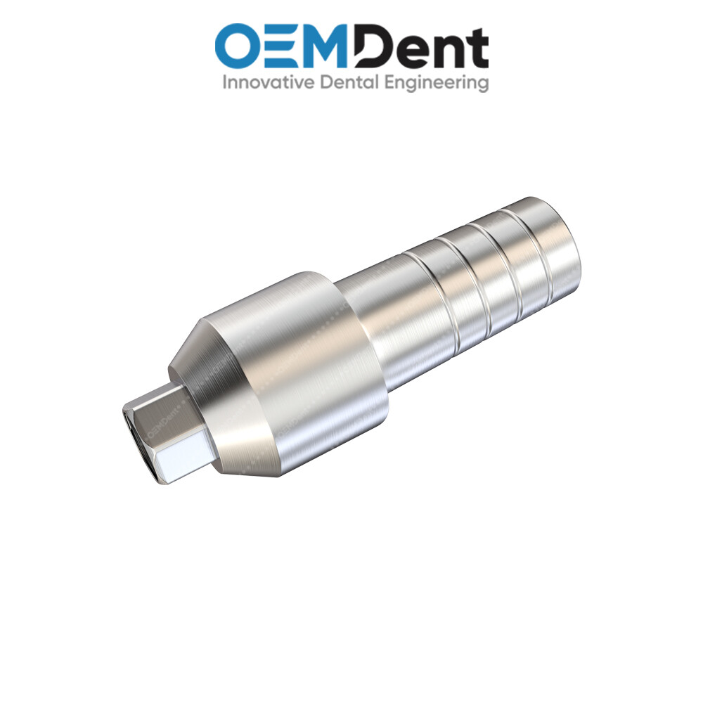Straight Anatomic Prosthetic – Paltop® Int Hex 2.42mm Compatible