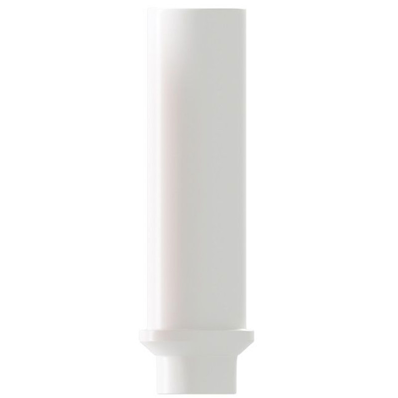 10x Straight Plastic Castable UCLA Prosthetic Int Hex 2.42mm Connection Dental