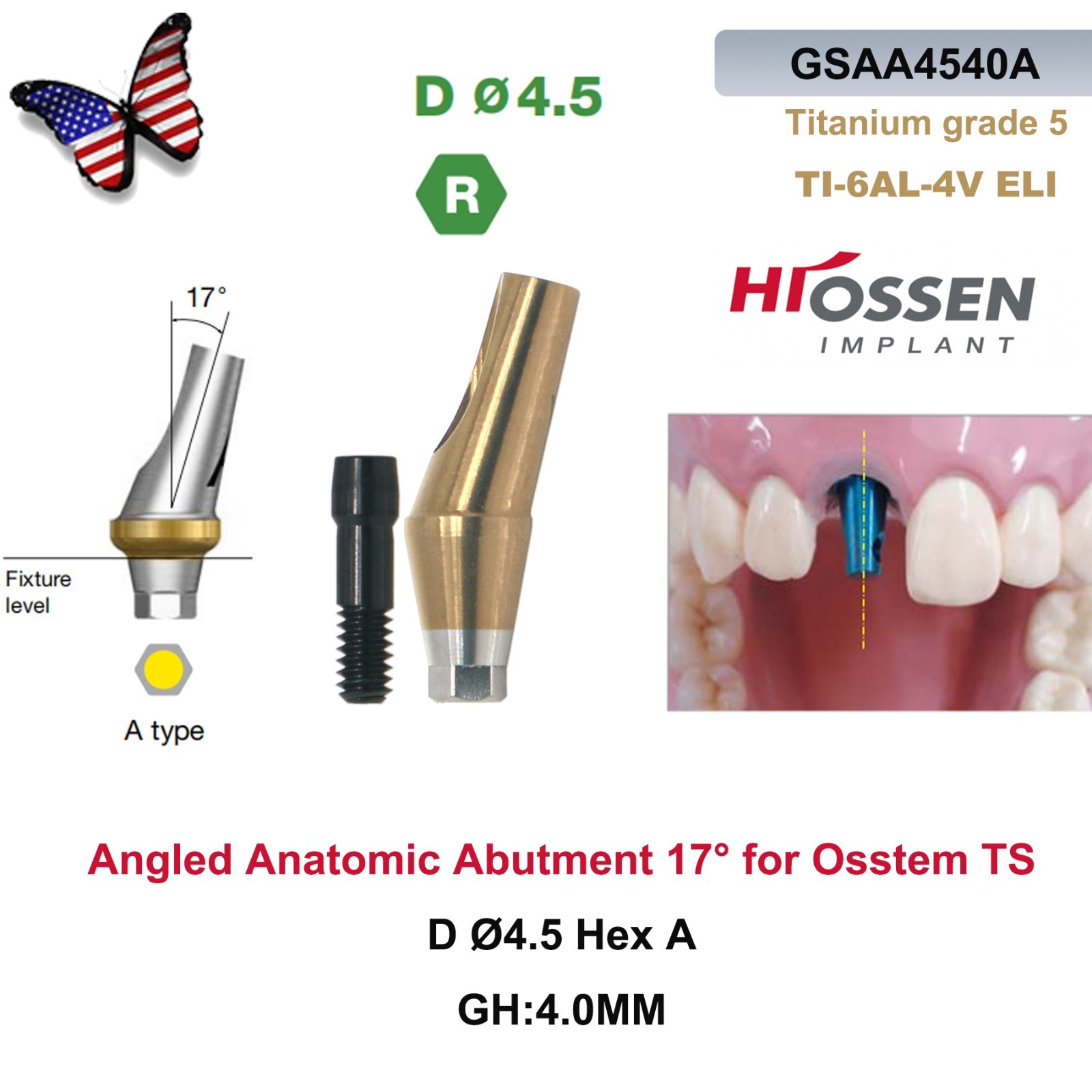 US Dental 17° Angled Abutment For Hiossen ET III Osstem TS Mini Regular Platform