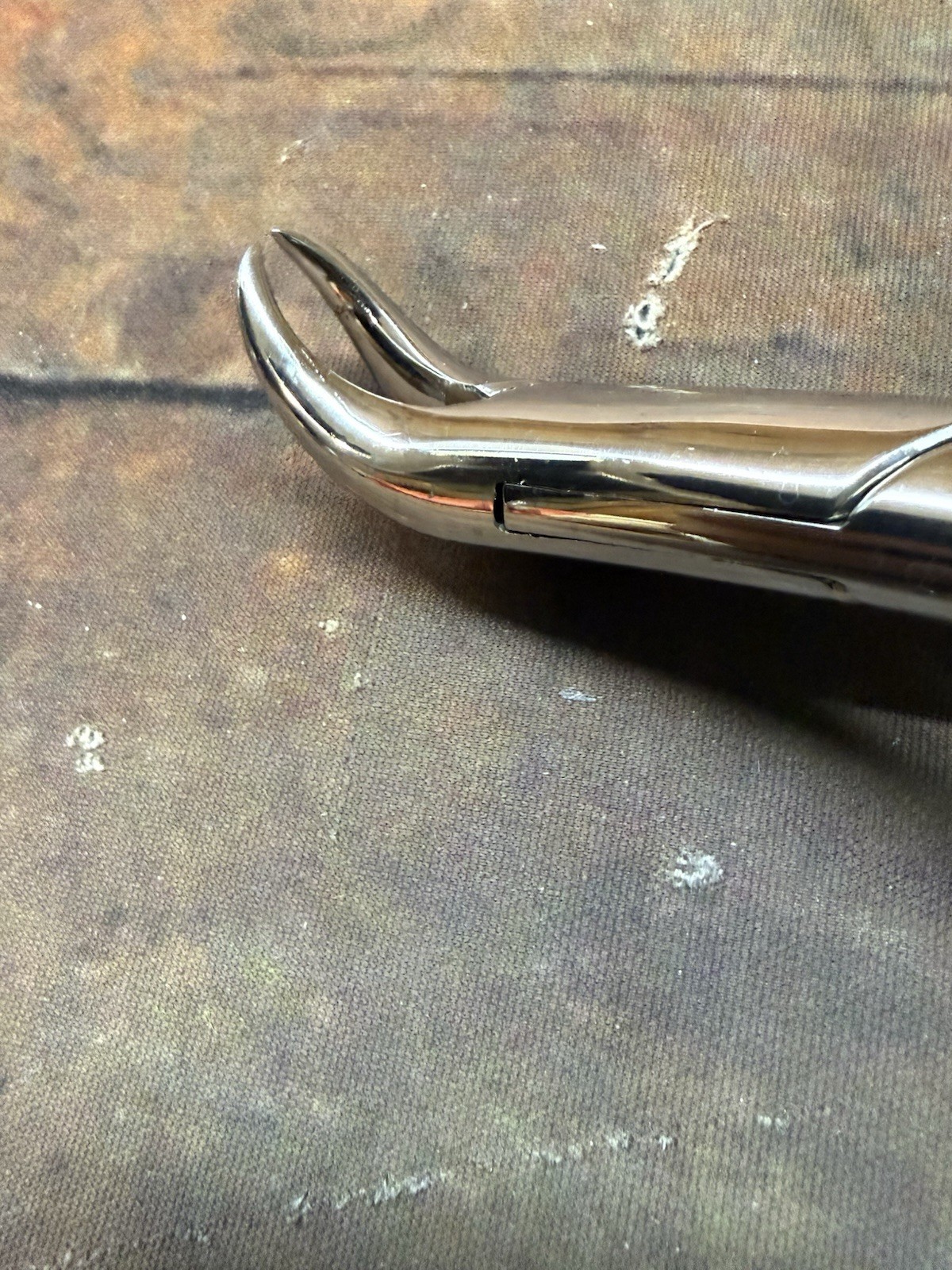 Henry Schein Cowhorn Forceps – #23