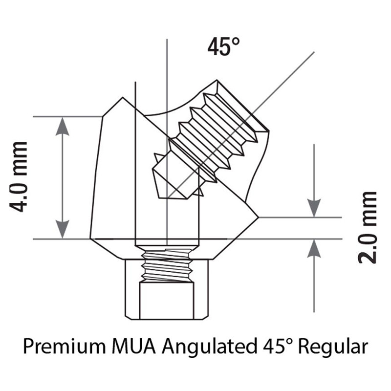 1x Set Angulated 45° Multi-Unit 1.6 RP Int Hex 2.42 PEEK Scan Body Titanium Base