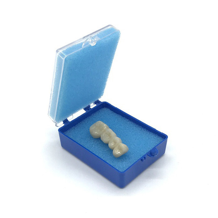 10pcs 1 inch Denture Case Dental Crown Box Teeth Storage Sponge Case Box