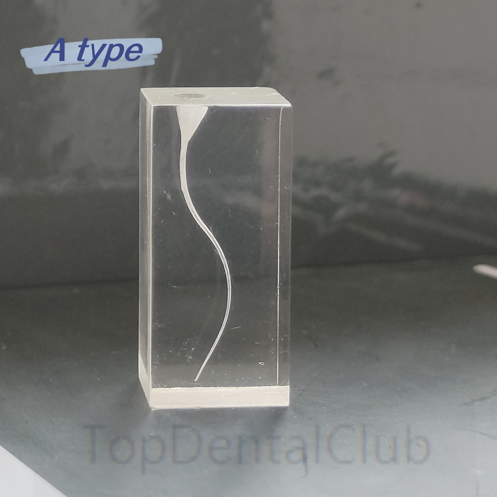 5Pcs Dental Endodontic Root Canal Teaching Study Model Transparent Block