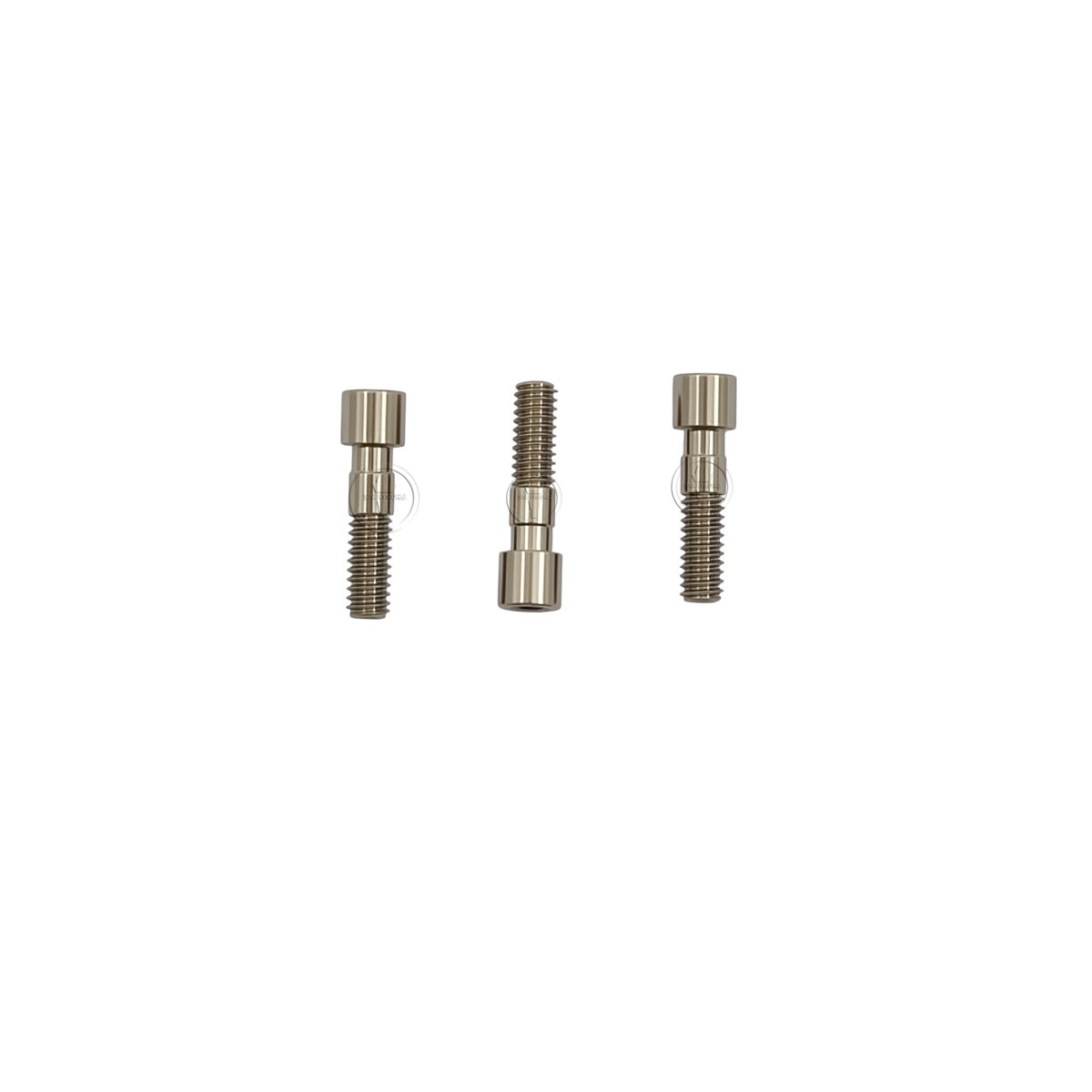 10-100 Pcs Titanium Abutment Screw compatible with C-TECH platform Regular