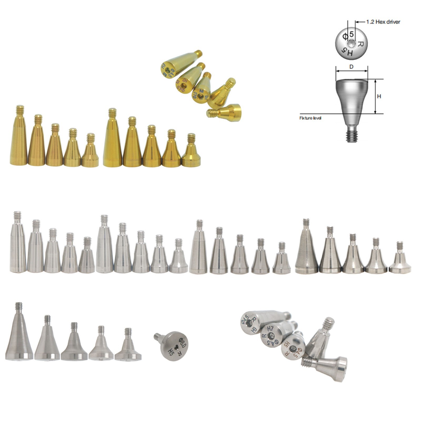 Hiossen Mini/Regular Hex Implants Locator/Healing Abutments Lab Analog Scan Body