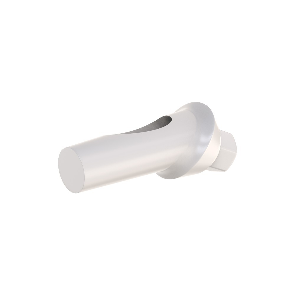 10pcs DSl Angulated Abutments Anatomic Peek With Screws 25° Internal Hex