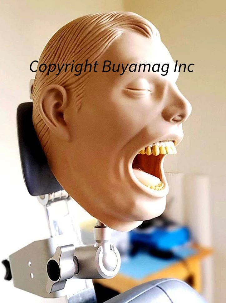 Dental Teeth X-Ray MANIKIN Practice Exam Simulator Training Model Teach Phantom