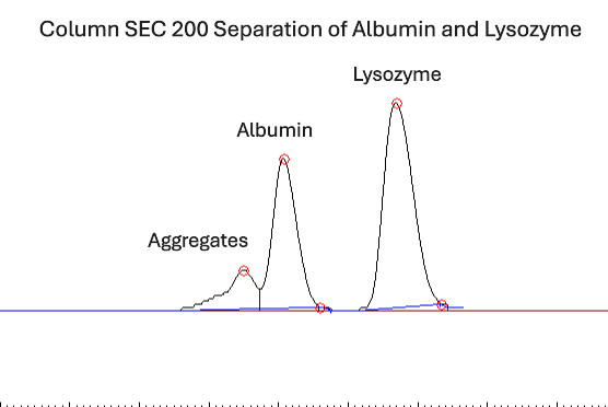 Size Exclusion Chromatography Column – SEC 200 10/300. Packed with Superdex 200.