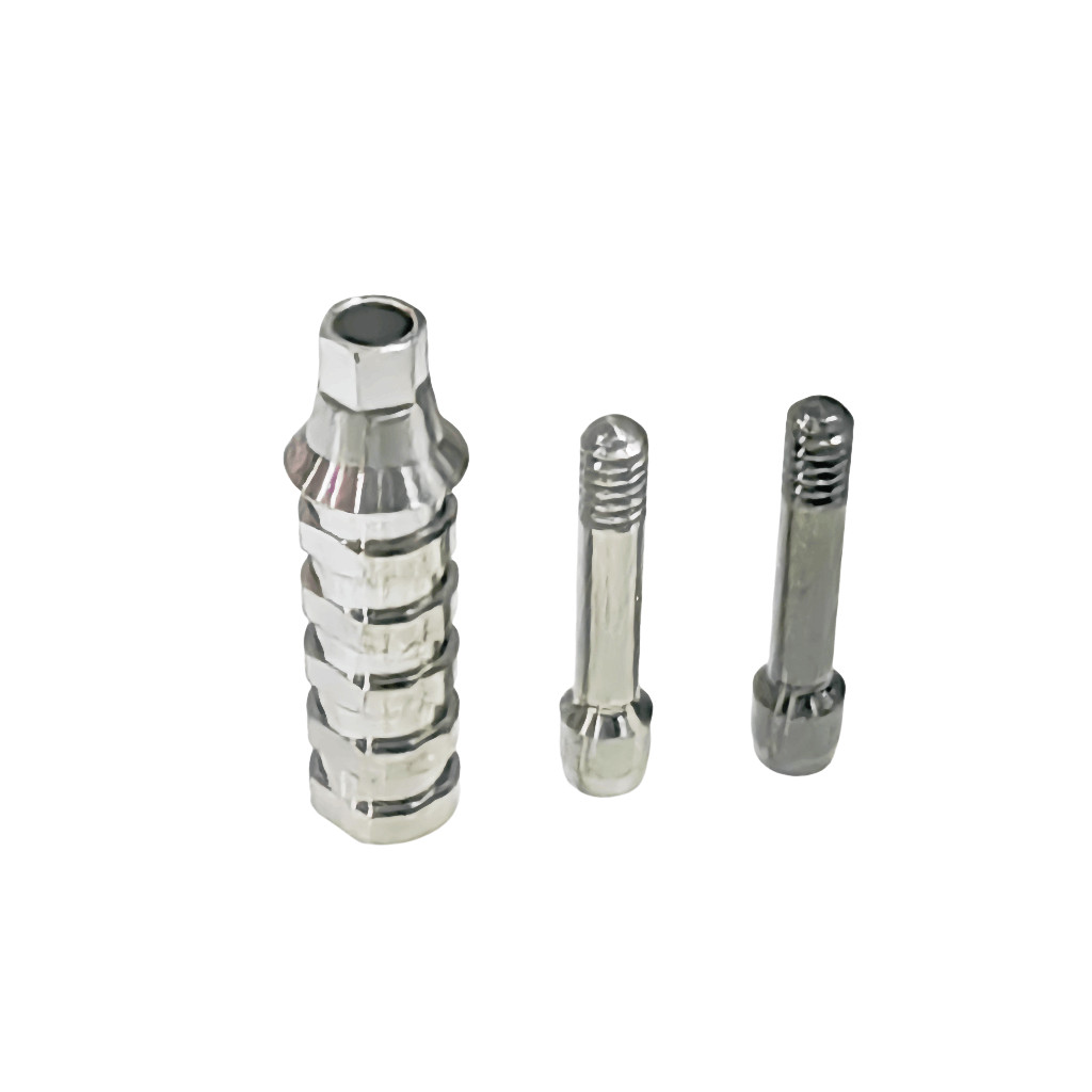 Dental Hex ET Temporary Abutment Mini Regular Ti Screws EbonyGold Osstem 4.0 4.5