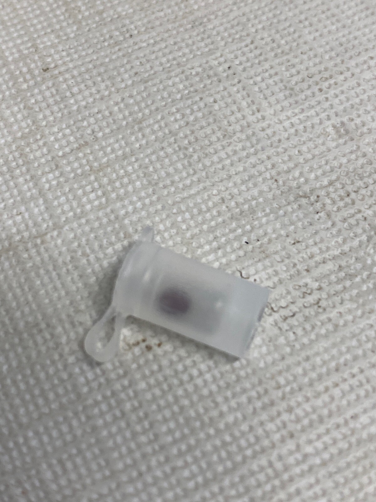 (2) EMS Holey Carbon Film on 3.05mm OD Specimen Grid 80010