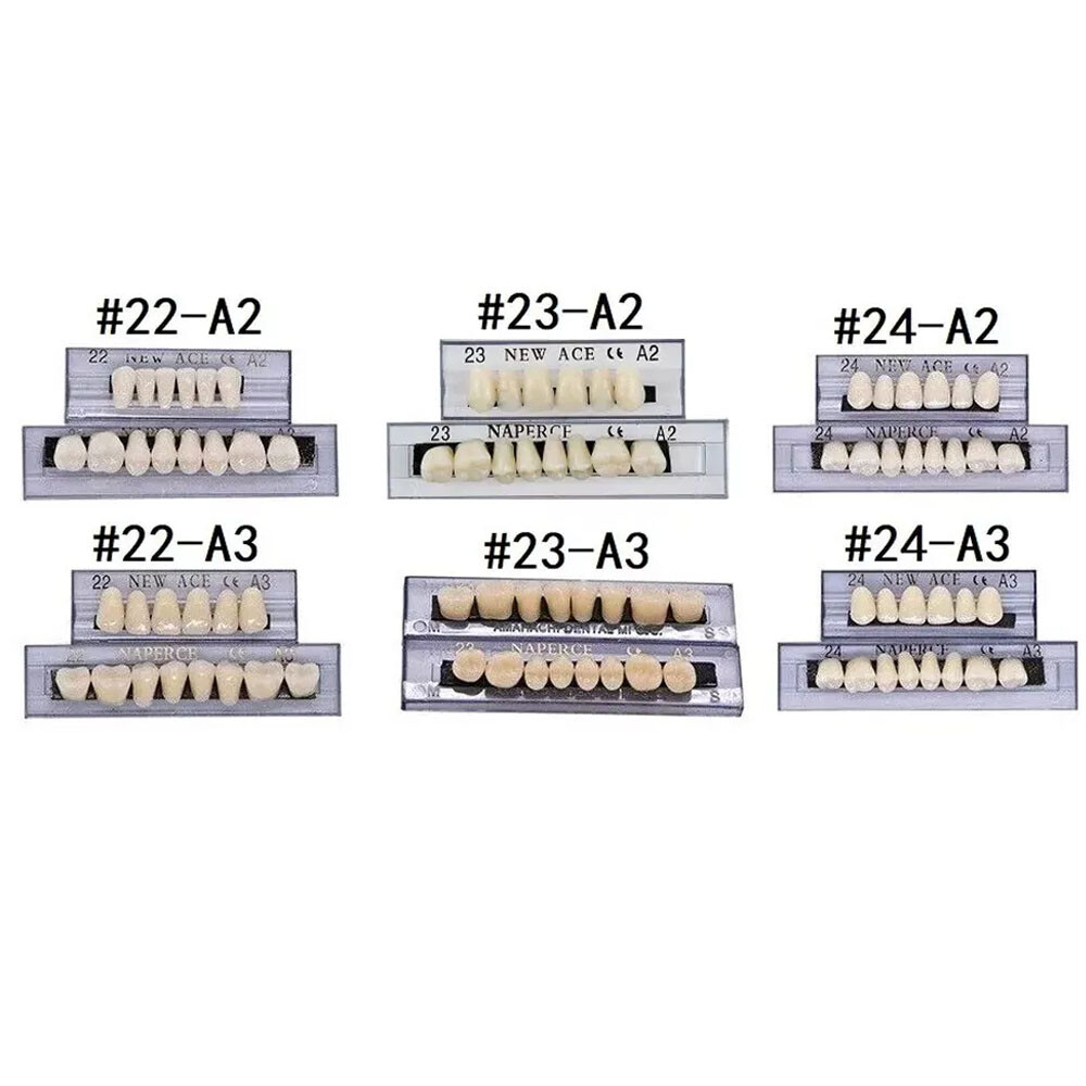 168X Acrylic Resin A1/A2/A3 Dental Denture Teeth Upper Lower Shade 22/23/24# USA