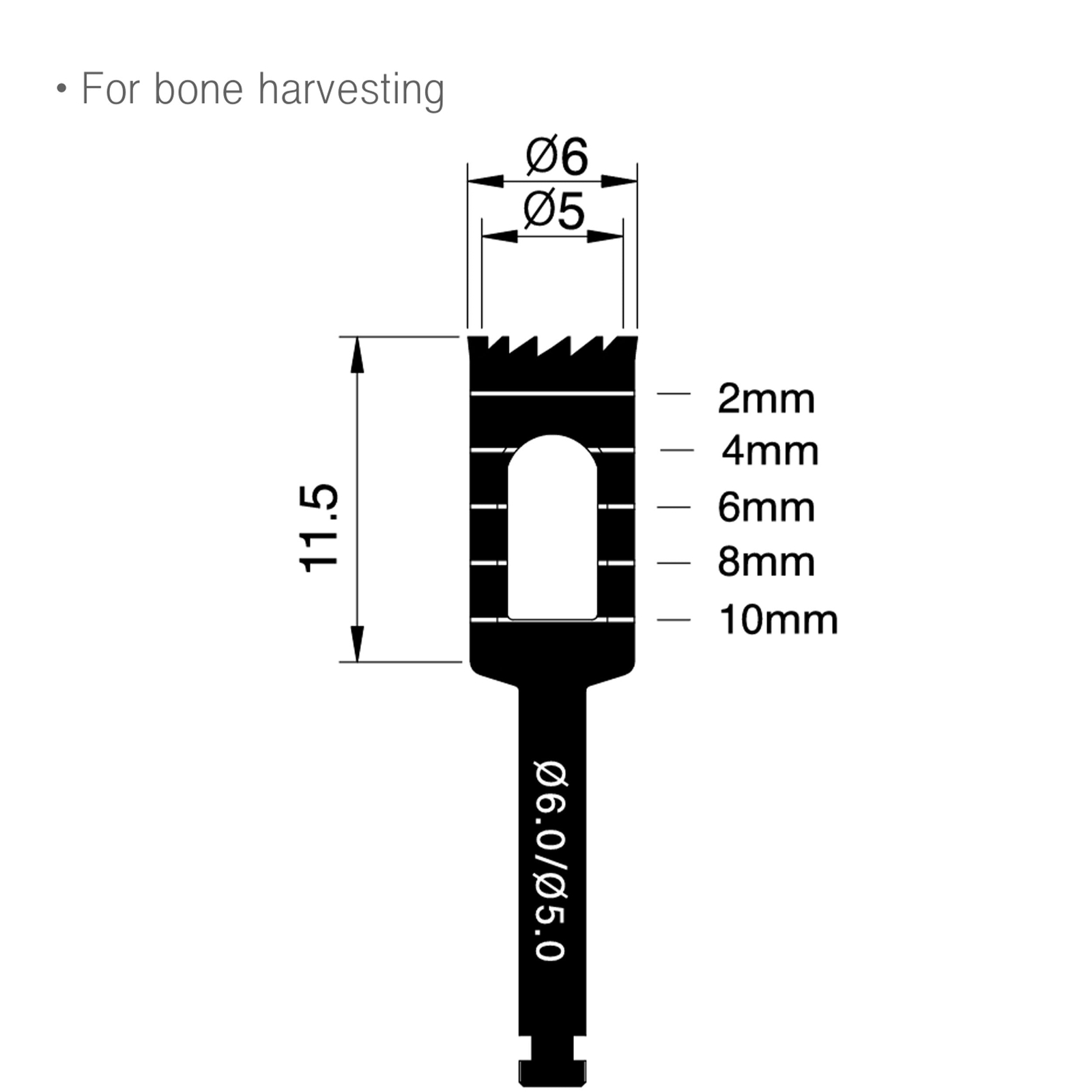 B60 Implant Trephine Bur Drill 6mm/5mm Osung -THB60 (#310)
