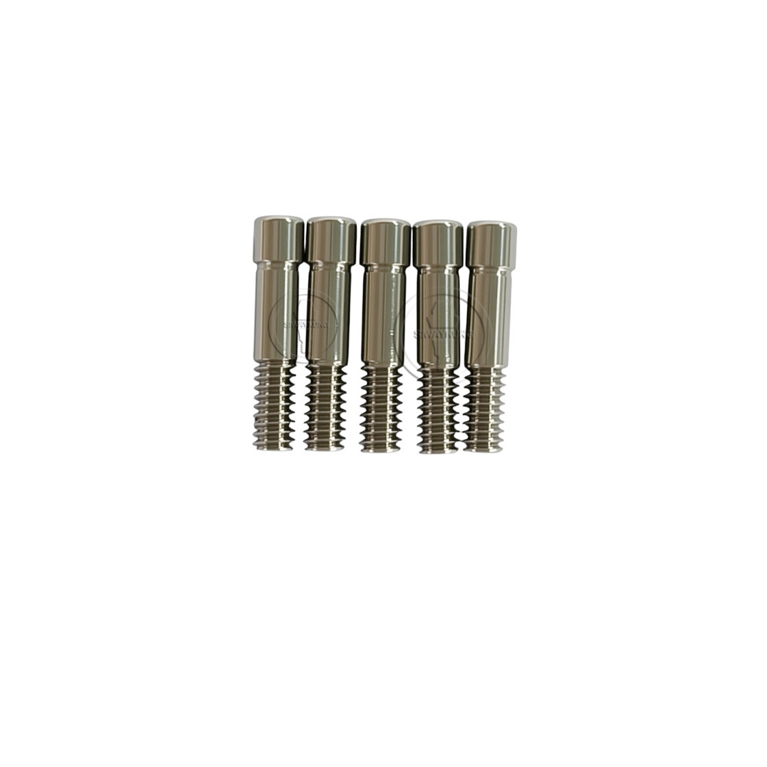 10/20/50/100 Pcs Dental Titanium Abutment Screw Fits Den-tium SuperLine Regular