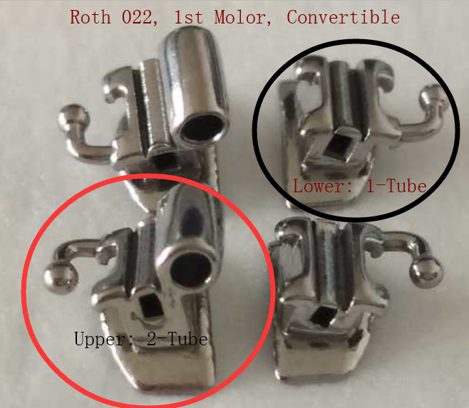 Dental Convertible Buccal Tubes Single Double Triple Ortho 1st Molor MBT/Roth