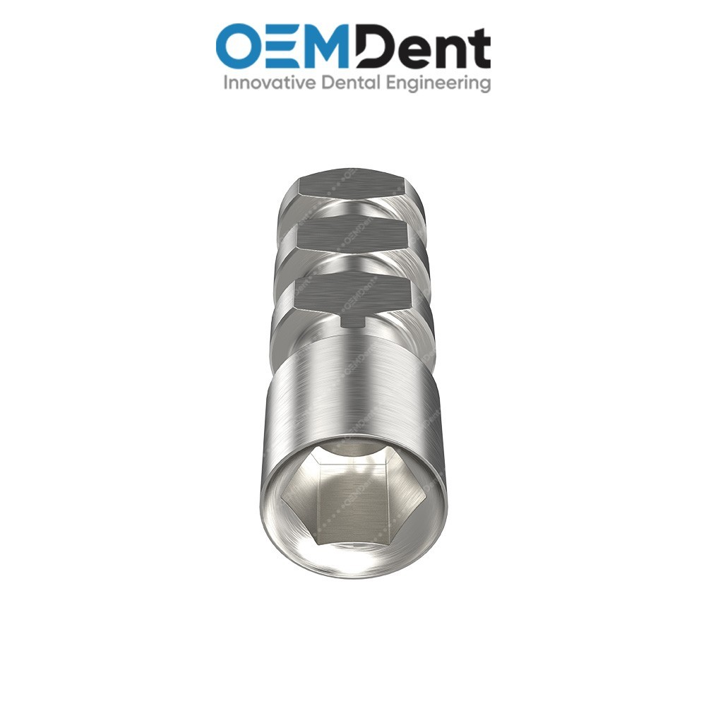 x10 Dental Fixture Analog Ø3.75mm MIS® Seven Compatible Stainless Steel Lab