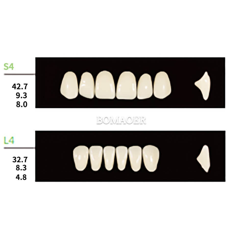 112PCS/Pack Dental Synthetic Polymer Resin False Teeth Denture S4 L4 30 Shade A1