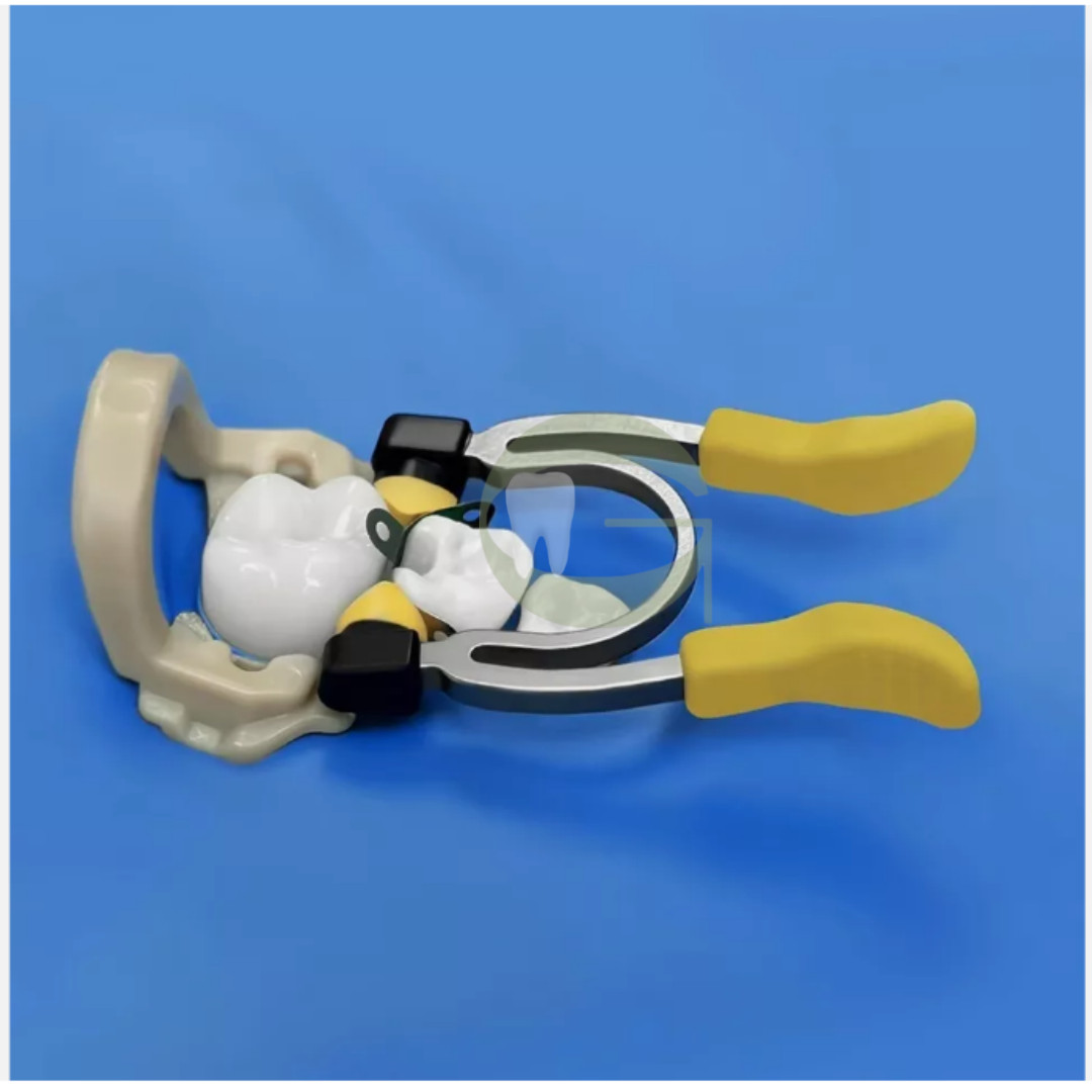 Dental Matrix Bands Ring Sectional Matrice Clamp Titanium Alloy Ring NiTi Peek