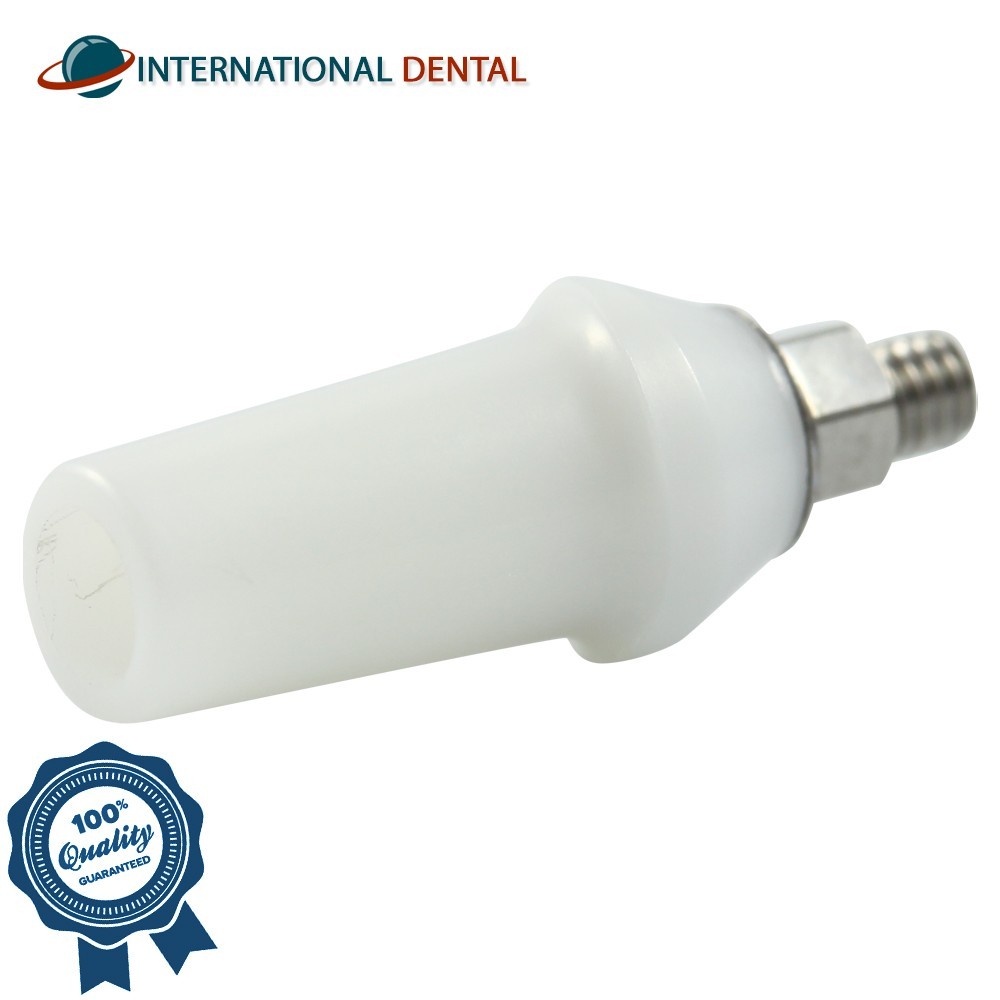 Zirconia Anatomic Straight Titanium Base Prosthetic Dental Fixture Int Hex