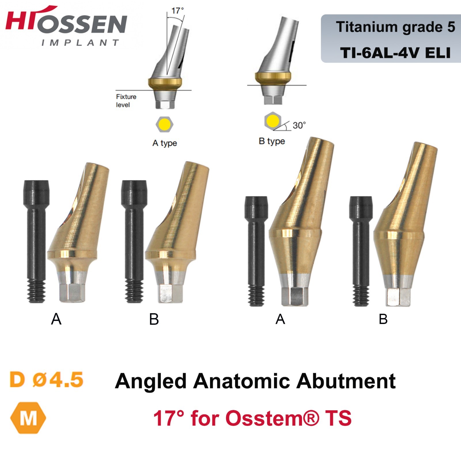 US 17° Angulated Abutment Mini/Regular Hex A/B Transfer Fit Osstem TS/Hiossen ET