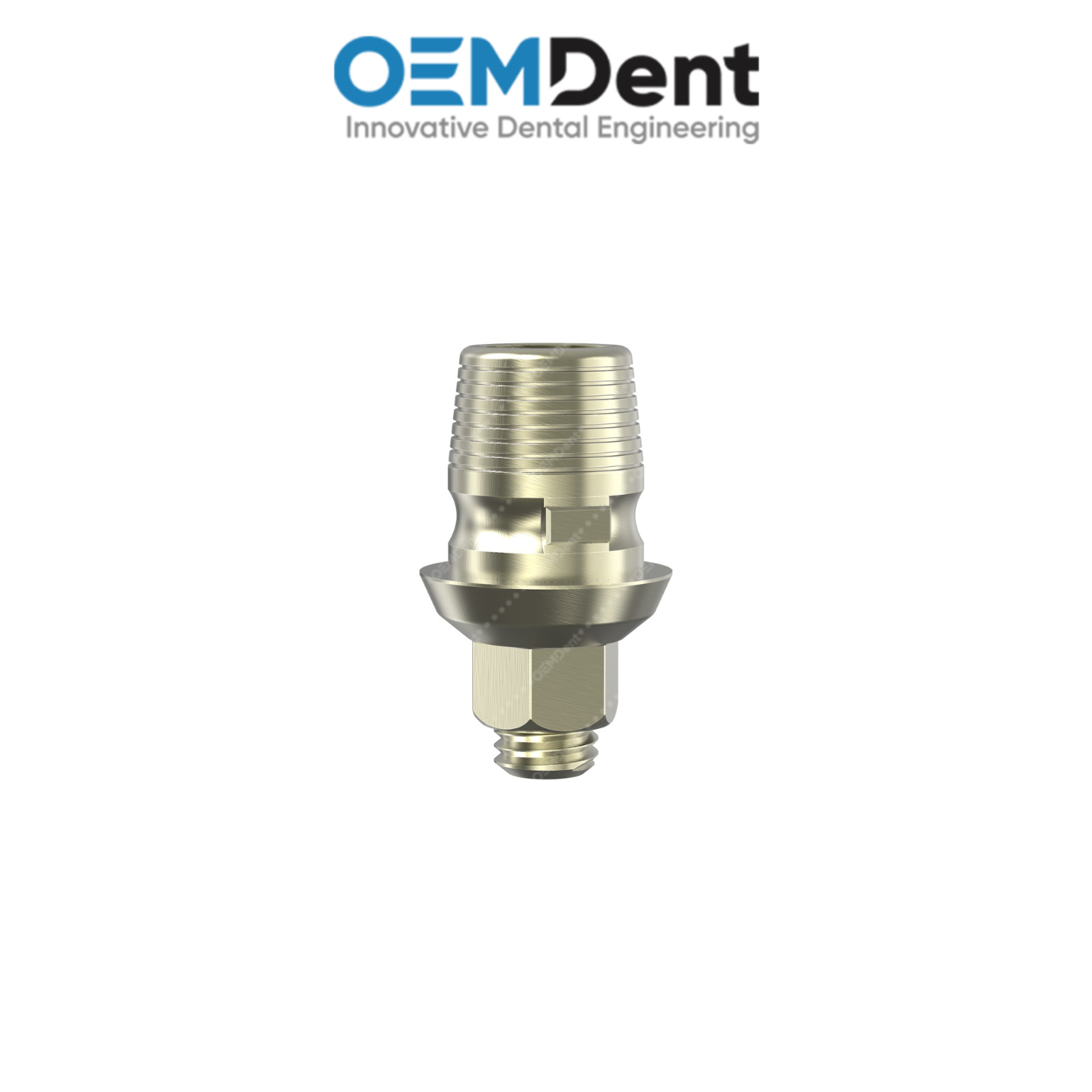 Titanium Ti-Base Anti-Rotation NP Ø4.2mm MIS® Compatible Int Hex 2.10mm