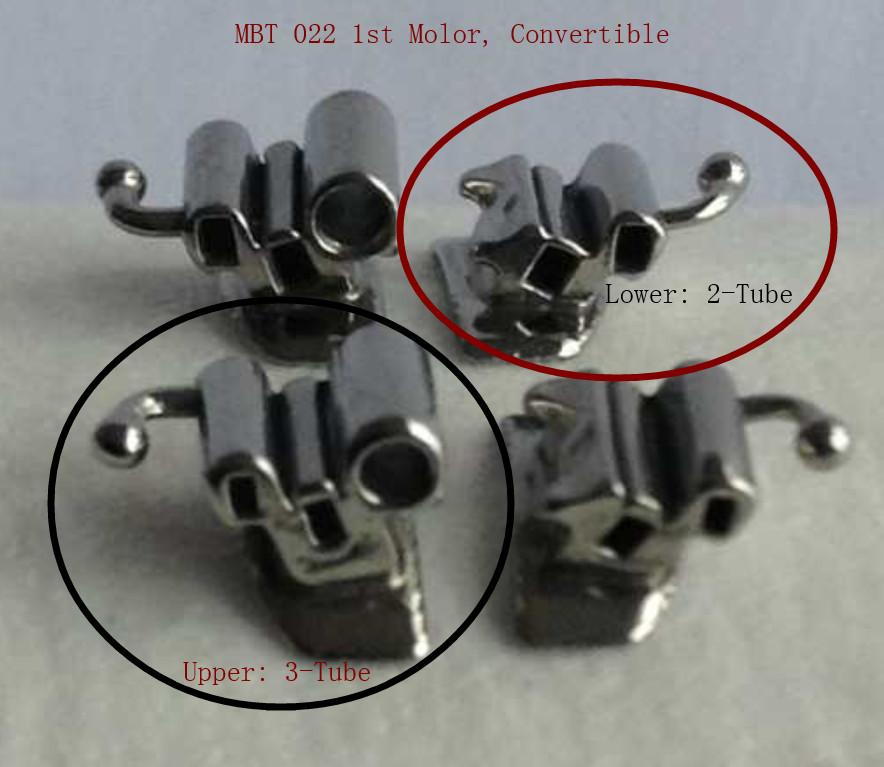 Dental Convertible Buccal Tubes Single Double Triple Ortho 1st Molor MBT/Roth