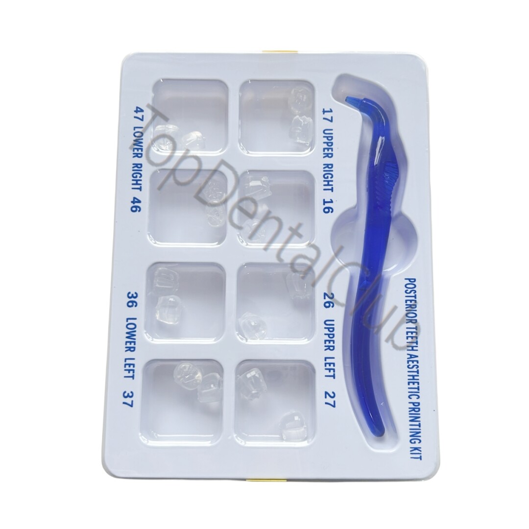 Dental Posterior Teeth Aesthetic Printing Mould Kit Restoration Filling Tools