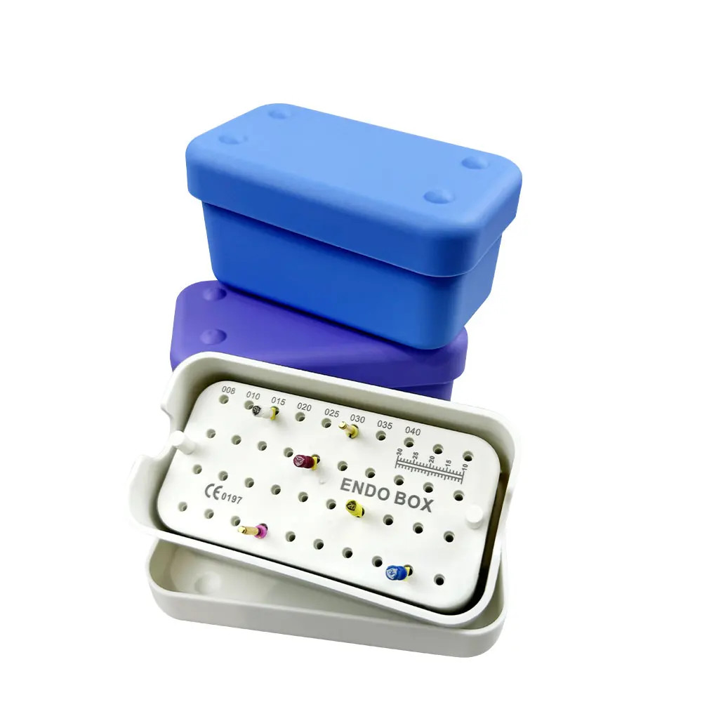 40H Dental Endo Box With Ruler Block Stand Dental Disinfection Endo Files Holder