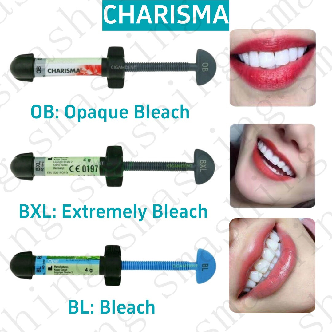 Dental KULZER CHARISMA Diamond OB Light Cure Composite Resin BL BXL Super White