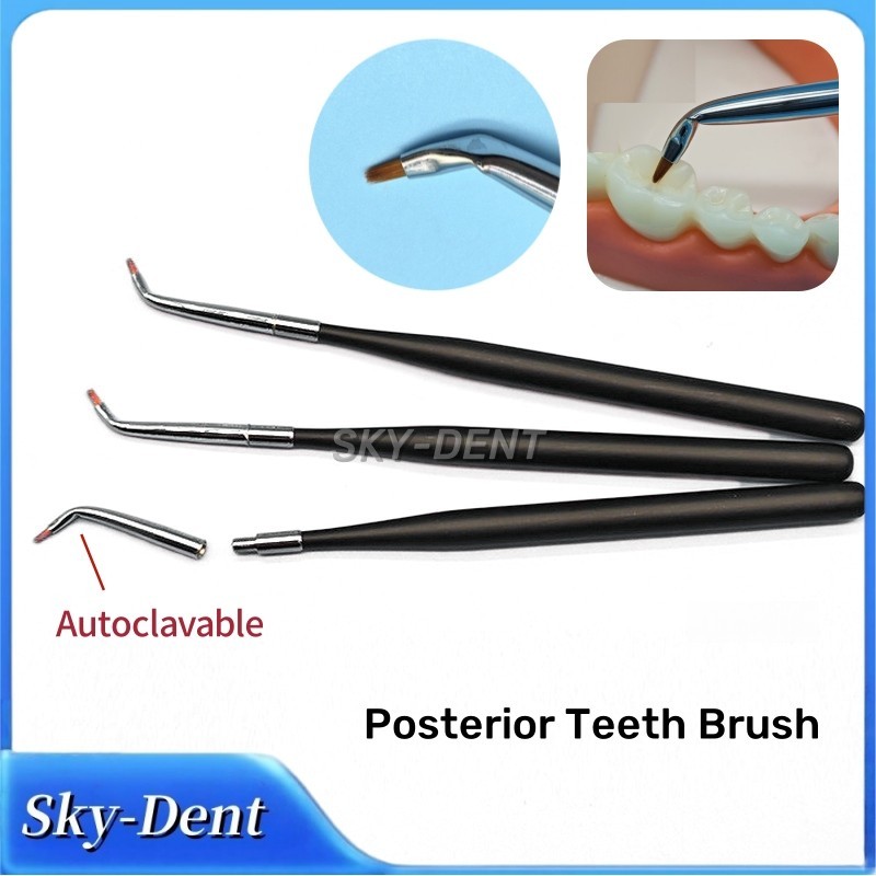 Dental Aesthetic Restoration Resin Posterior Brush Pen Curved Tips Shaping Tool