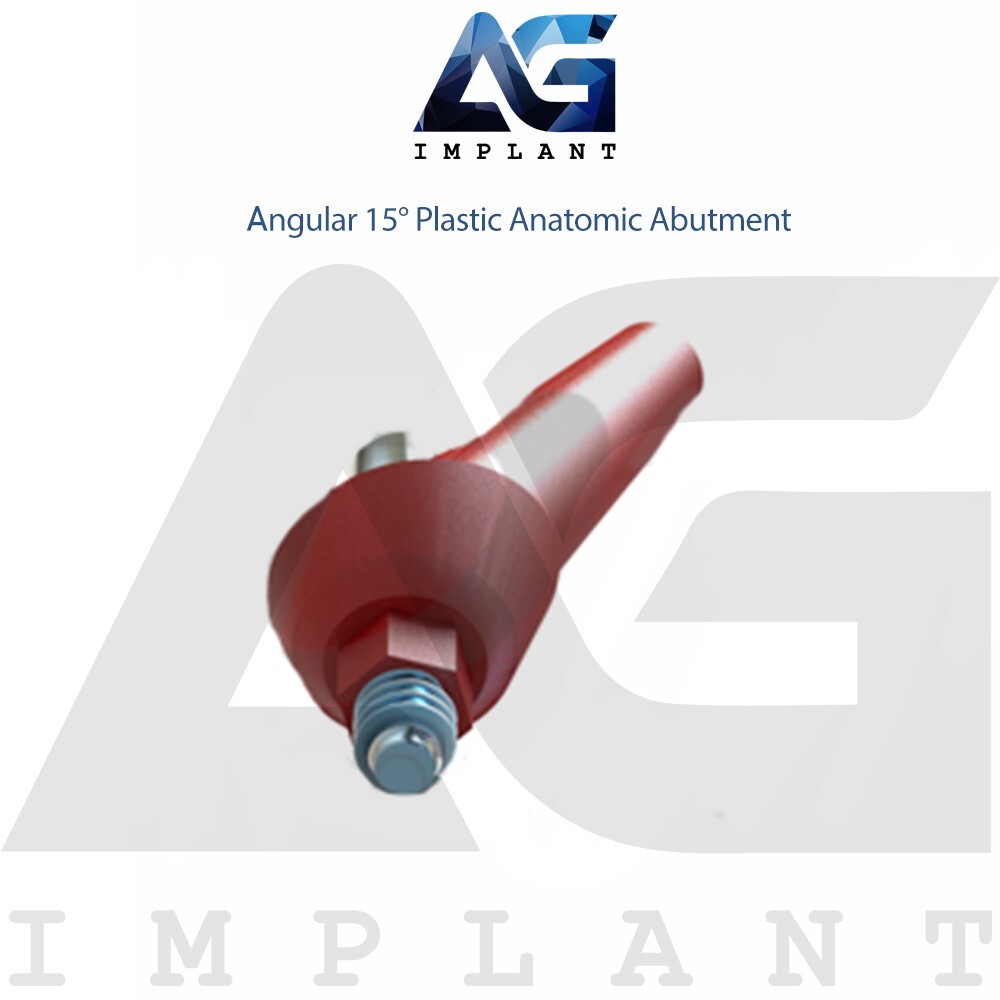 10 Angular 15° Plastic Anatomic Prosthetic System Casting Int Hex 2.42mm