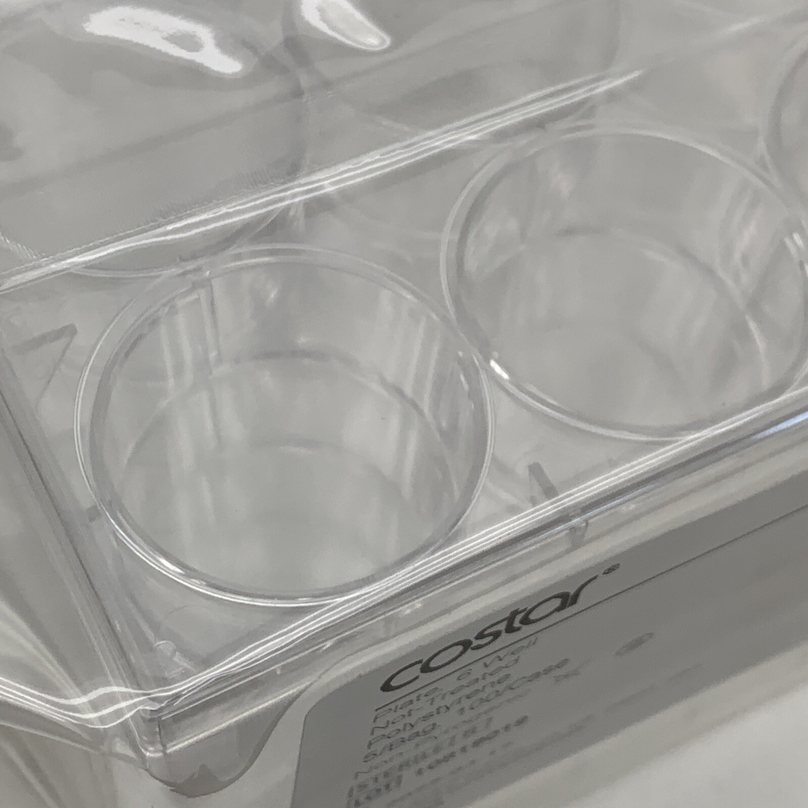 (100-Pack) Corning 3736 Costar 6-Well 16.8 mL Flat Bottom Plate Sterile EXPIRED