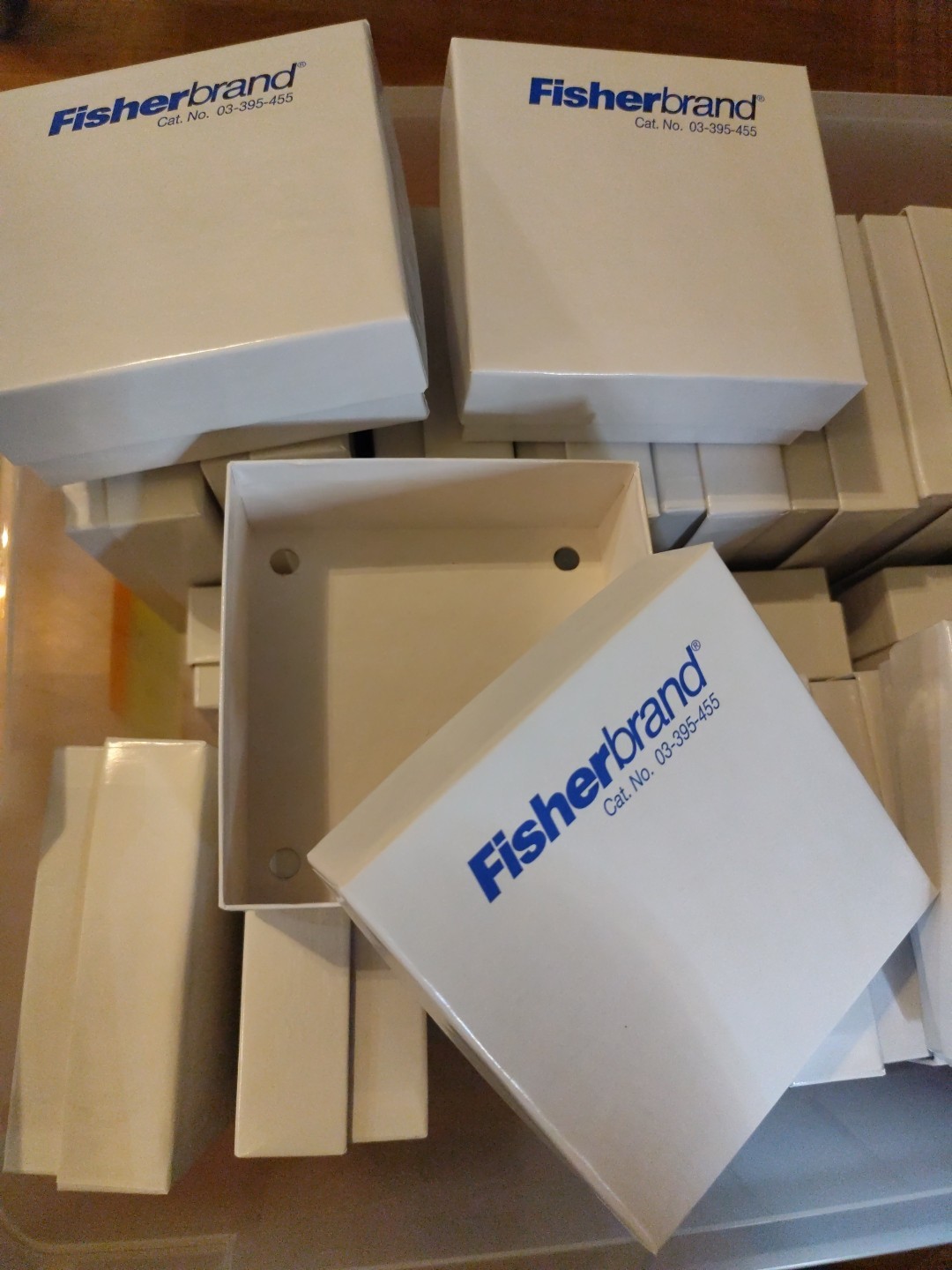 Fisherbrand Cryo/Freezer Box without dividers 03-395-455 One Each