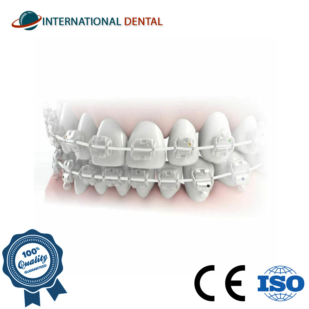 Orthodontic Dental Aesthetic Super Elastic Intraoral Archwire NiTi Round