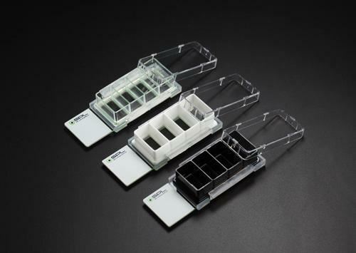 SPL Cell Culture Chamber slide, 4 wells, Glass slide,PS frame, PP holder 12/pck