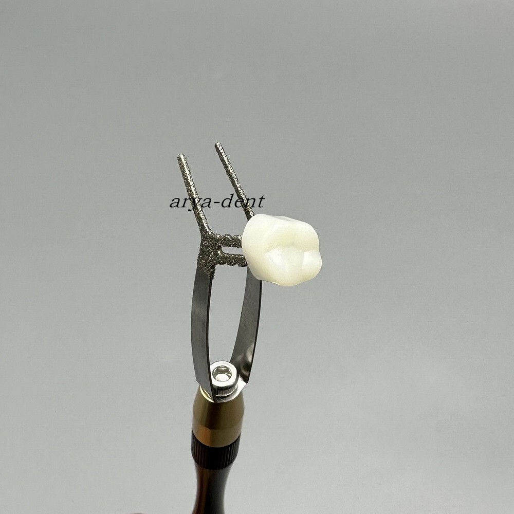 1pcs Zirconia Crown Holder Dental Posterior Anterior Crown Bridge Placer Remover