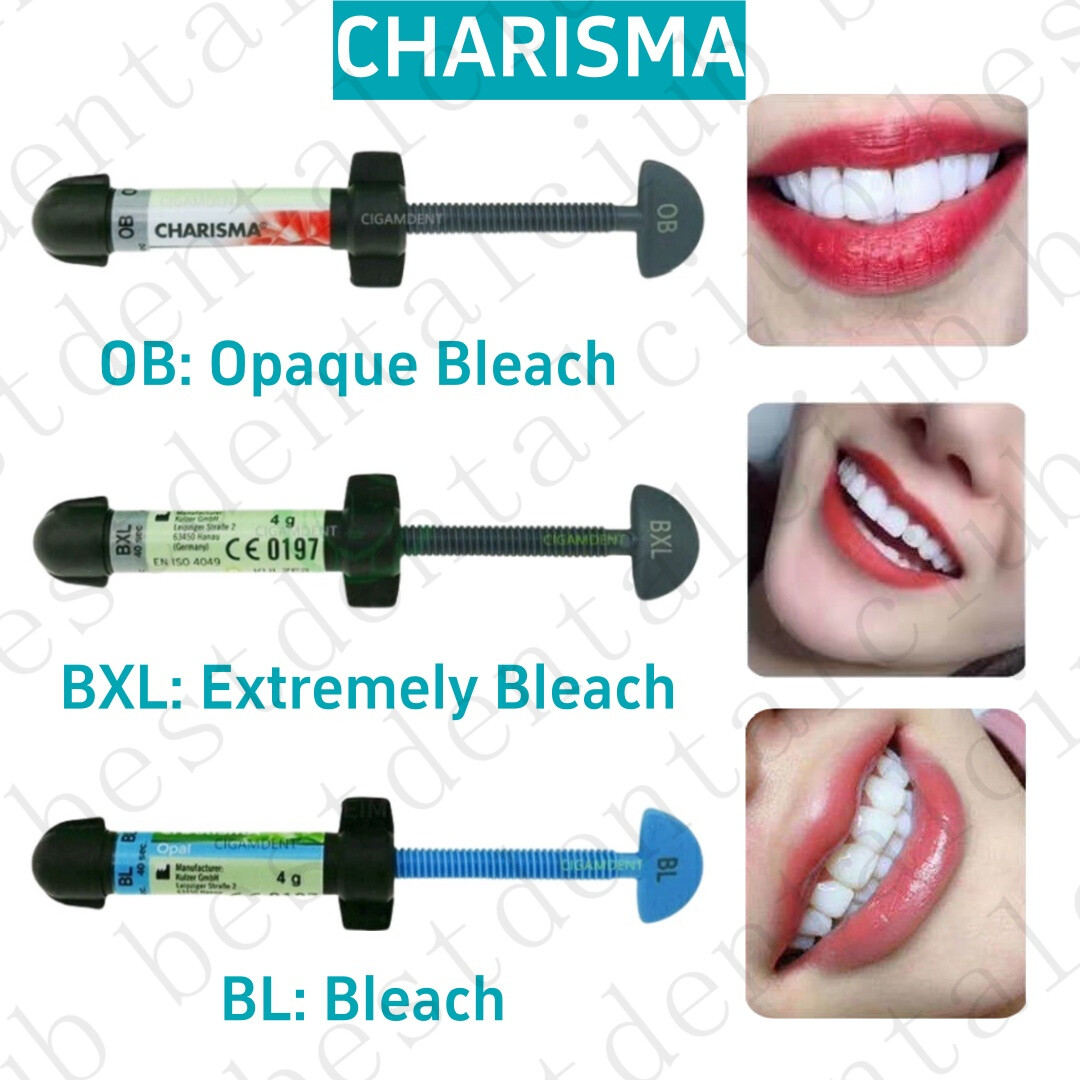 10x Dental KULZER CHARISMA Composite Resin Diamond Bleach White Light Cure BL BX