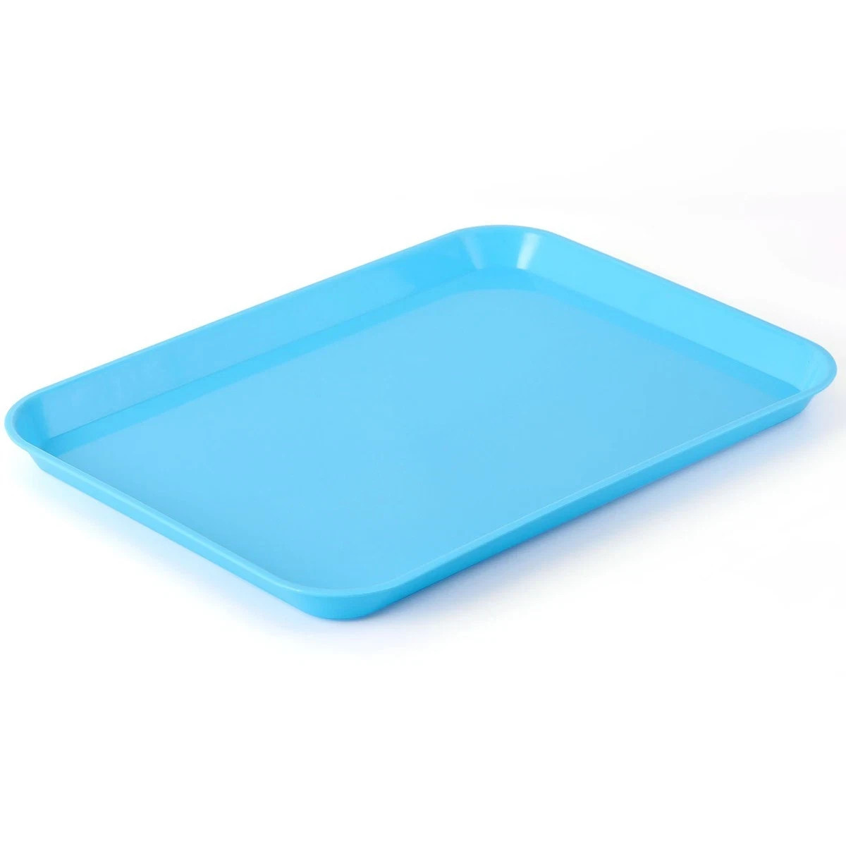 Dental Autoclavable Trays Plastic Instrument Set Up Flat Tray Size B Bandejas