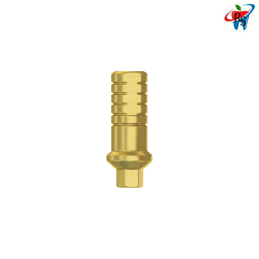 Dental Straight Shoulder Abutment Conical Connection RP Regular Platform 10pcs