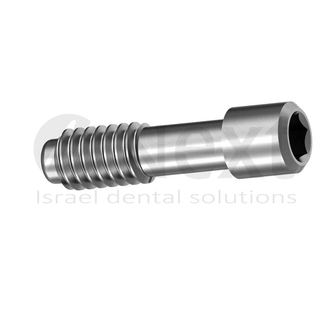 Lotx100 Titanium Screw Abutment Megagen AnyRidge compatible replica