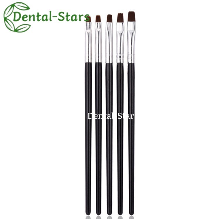 5Pcs/Kit Dental Composite Shaping Brush Pen Resin Veneer Cement Porcelain Pens