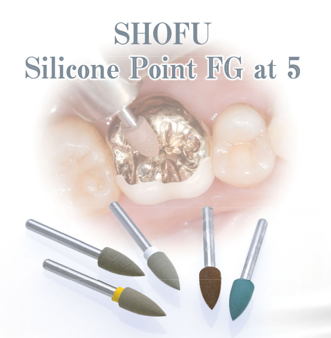 Shofu Silicon Polishers FG Pre-Polishing Mini Point 72（12×6） Count JAPAN　dental