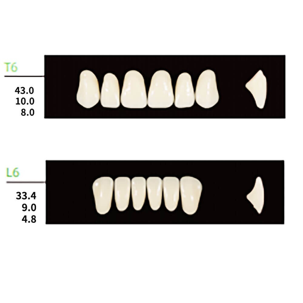 Dental Synthetic Polymer Resin False Teeth Denture 112PCS/Pack T8 L8 34 Shade B1
