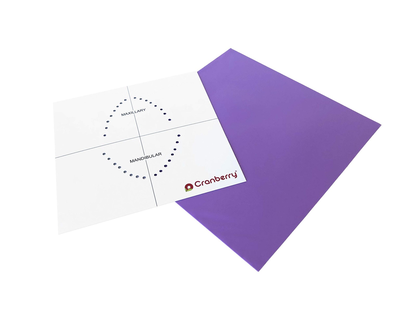 Cranberry USA CR8366 Smart Dam Non-Latex Powder-Free, 6×6, Lavender
