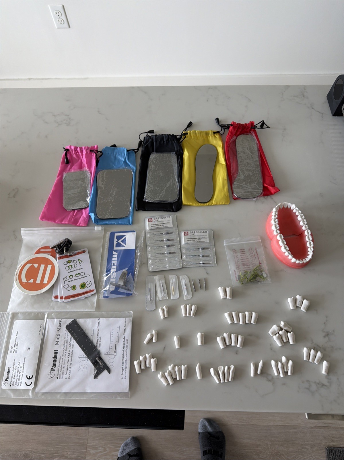 52 Acadental Teeth, Perio Typodont, Endo Rotary Files, Burs, Interdental Guards