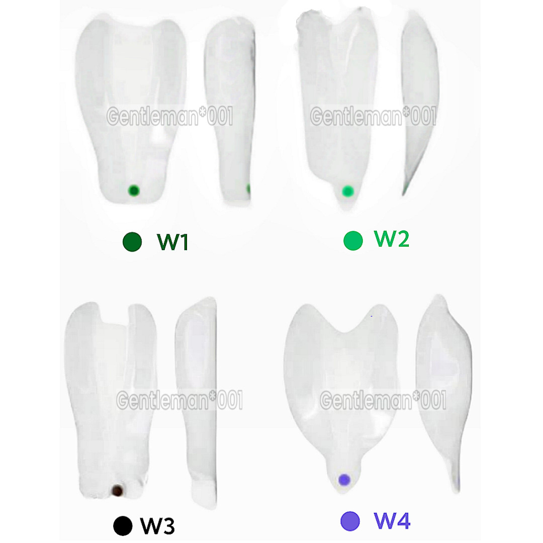 SIGNET Dental Widening Front Tranparent Clear Matrix BT Matrices Fits BioClear