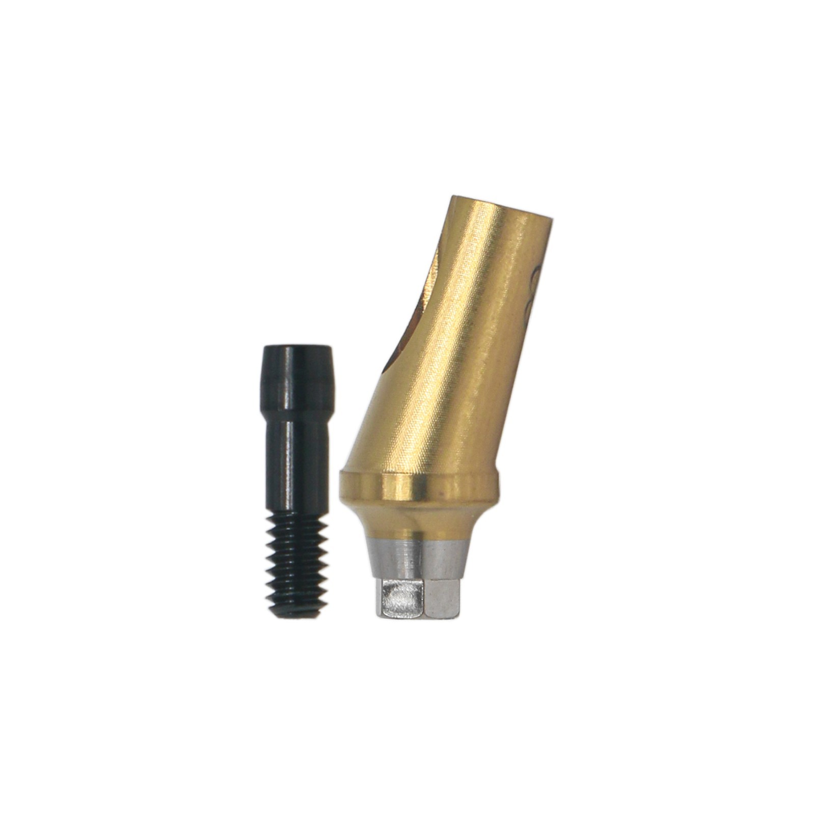 US Dental 17° Angled Anatomic Abutment Mini /Regular Fits Hiossen Osstem TS